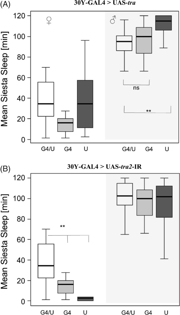 PHEN-12134-FIG-0002-b