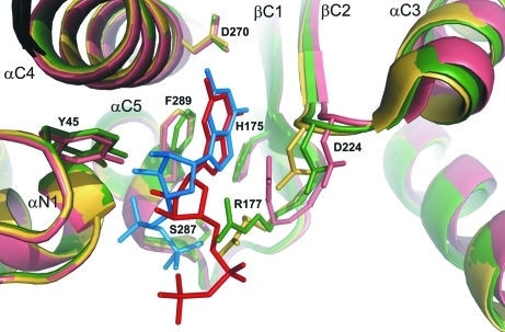 Figure 4