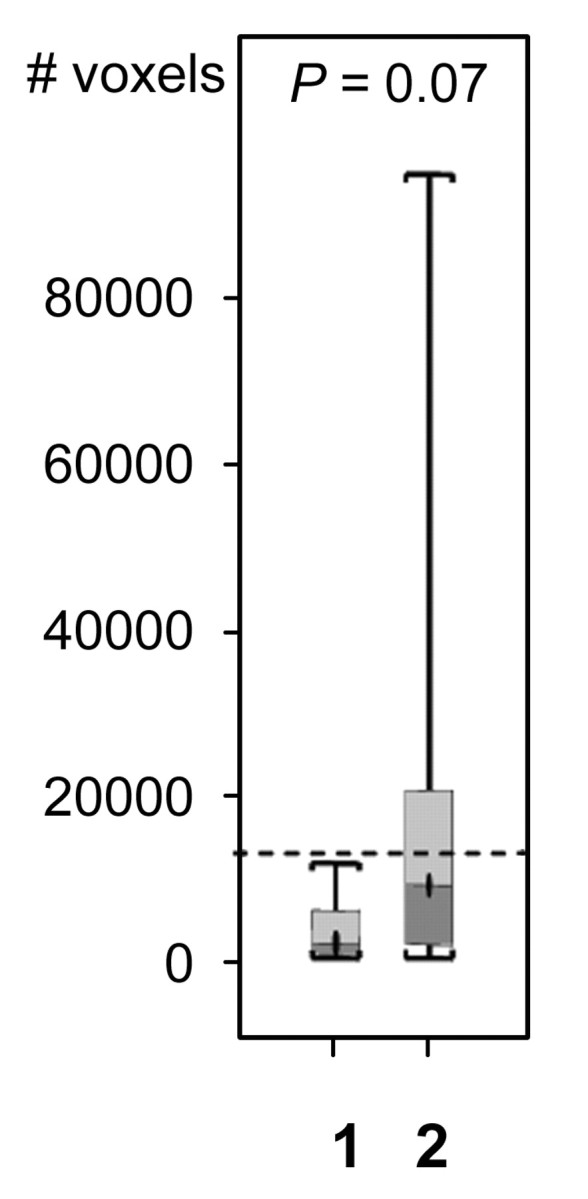 Figure 3f: