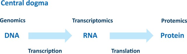 Fig 1.