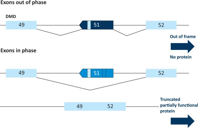 Fig 3.