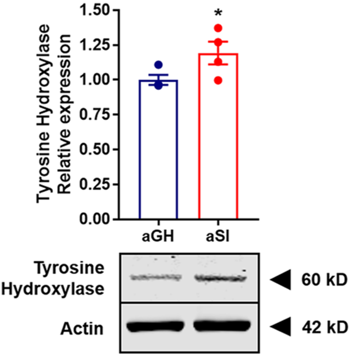 Figure 9.