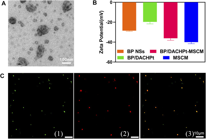 FIGURE 4