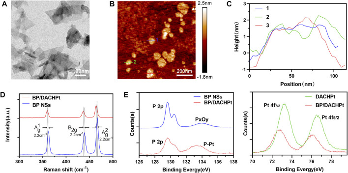 FIGURE 2