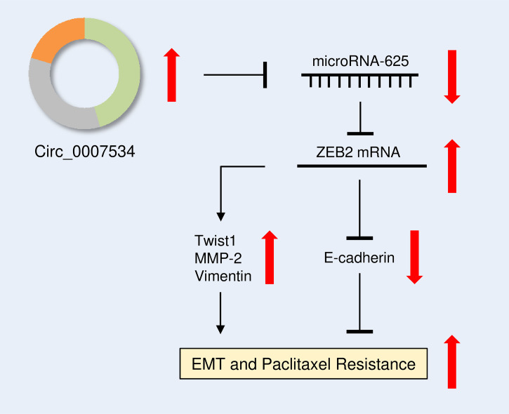 Figure 10