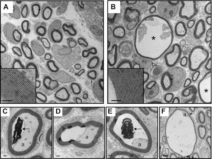 Fig. 9.