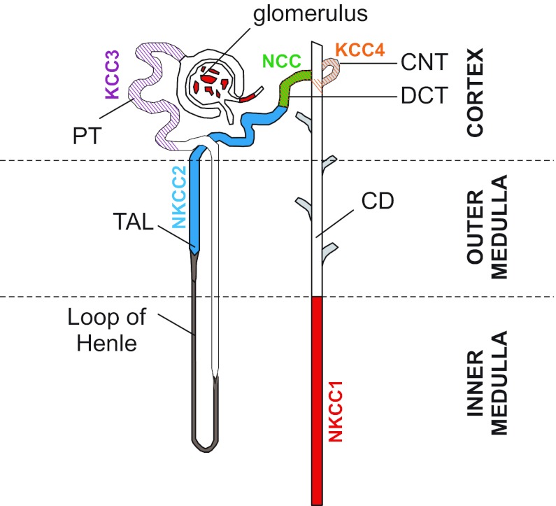 Fig. 3.