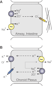 Fig. 7.