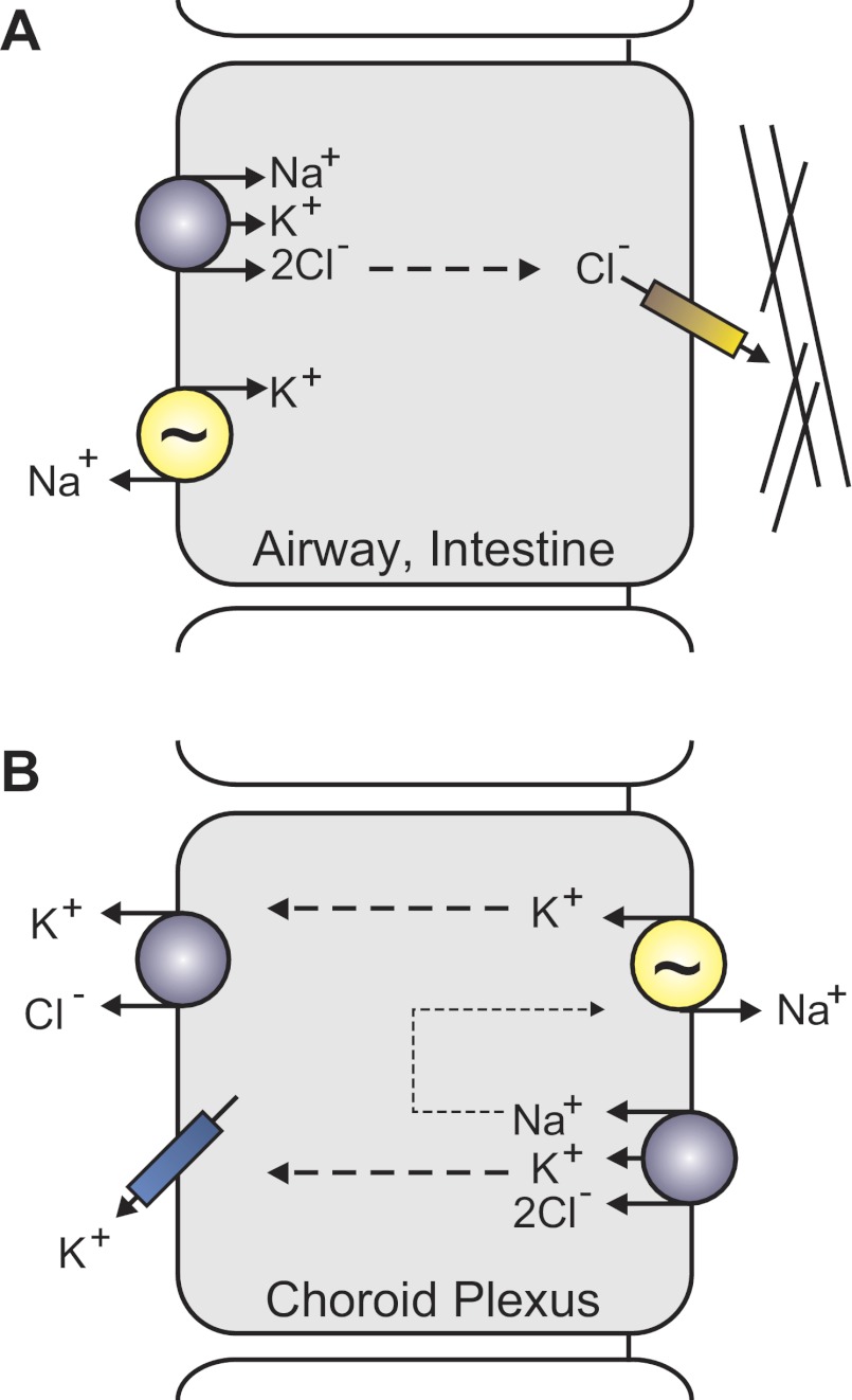 Fig. 7.