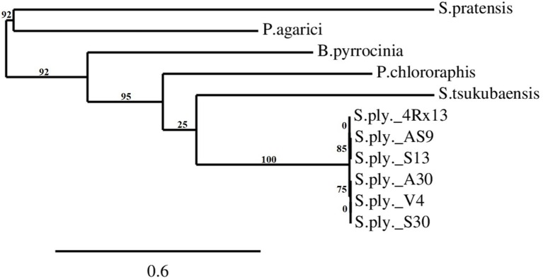 FIGURE 5