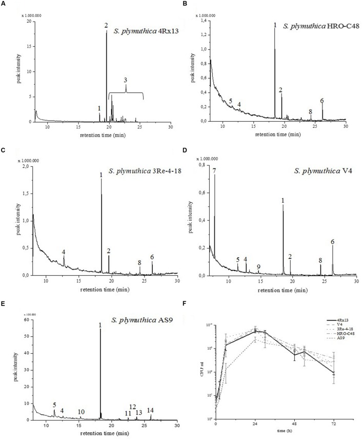 FIGURE 2