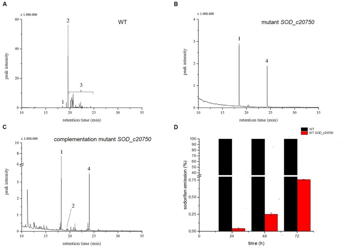 FIGURE 4