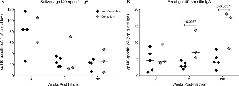 FIG 6