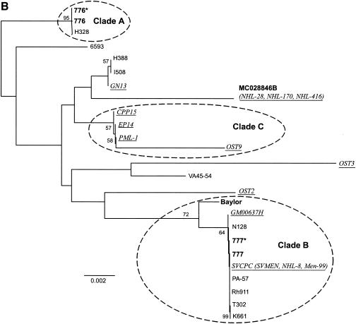 FIG. 5.