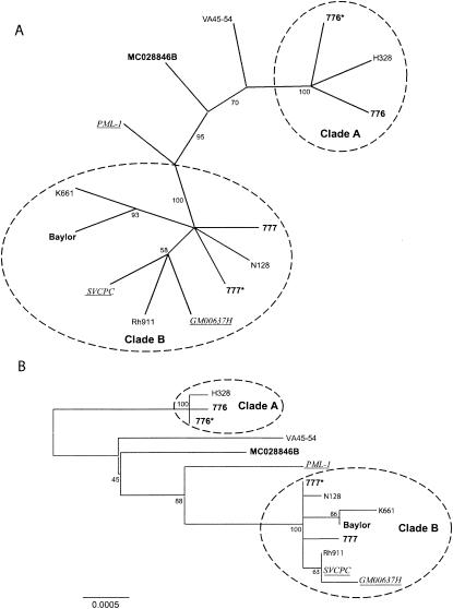 FIG. 1.