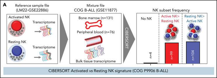 Figure 6A.