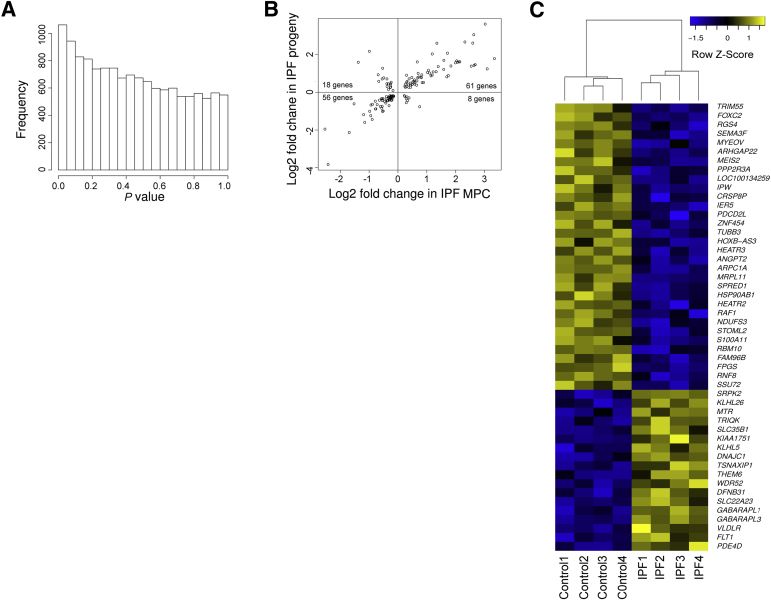 Figure 6