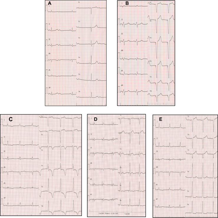 Fig. 1.