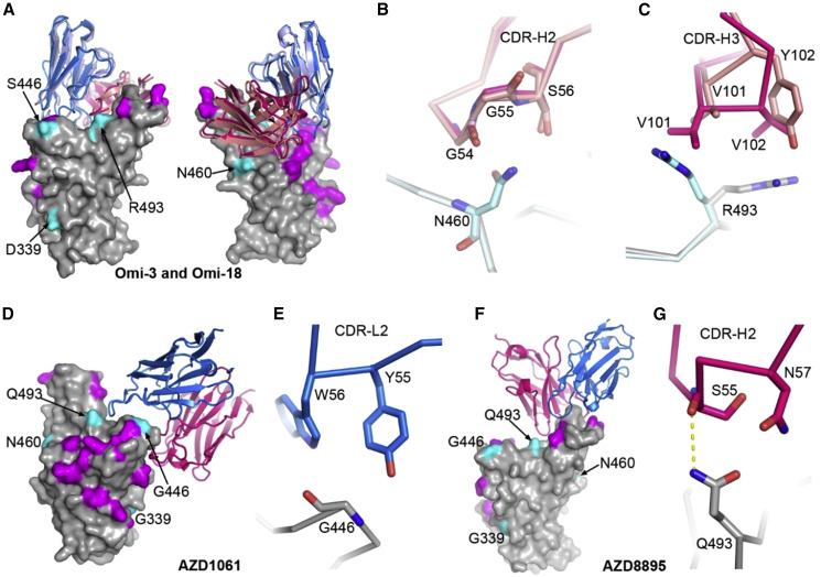 Figure 6