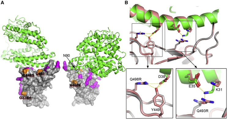 Figure 4