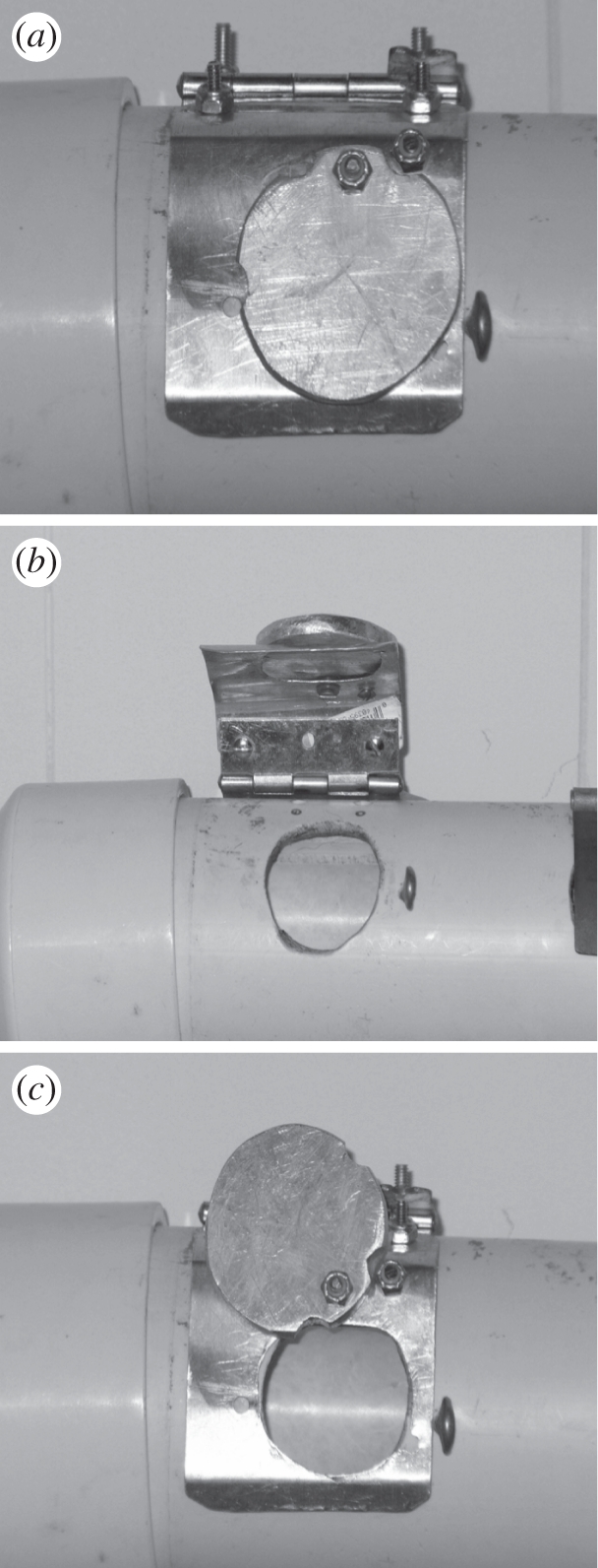 Figure 1.