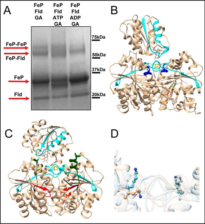 Figure 5.