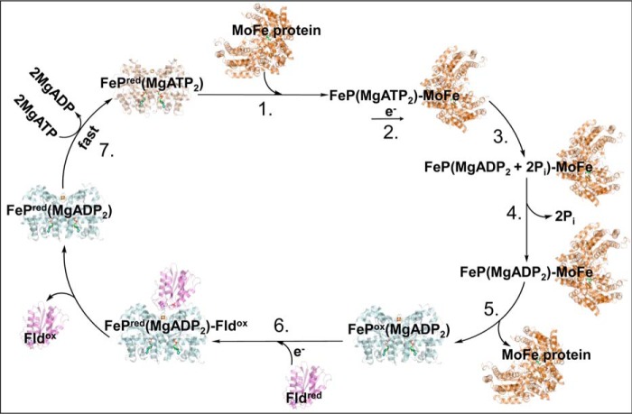 Figure 6.