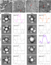 Fig. 3