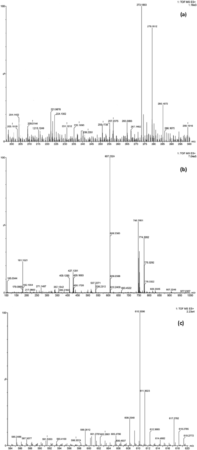 Figure 3