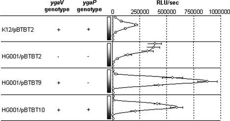 FIG. 3.