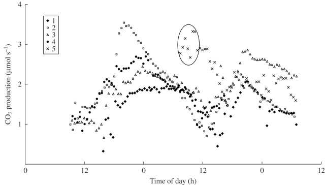 Fig. 3