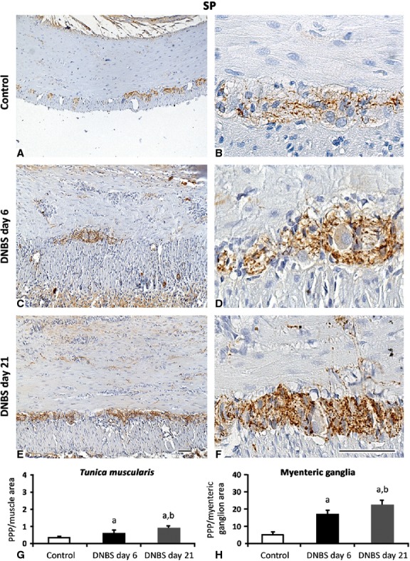 Fig 10