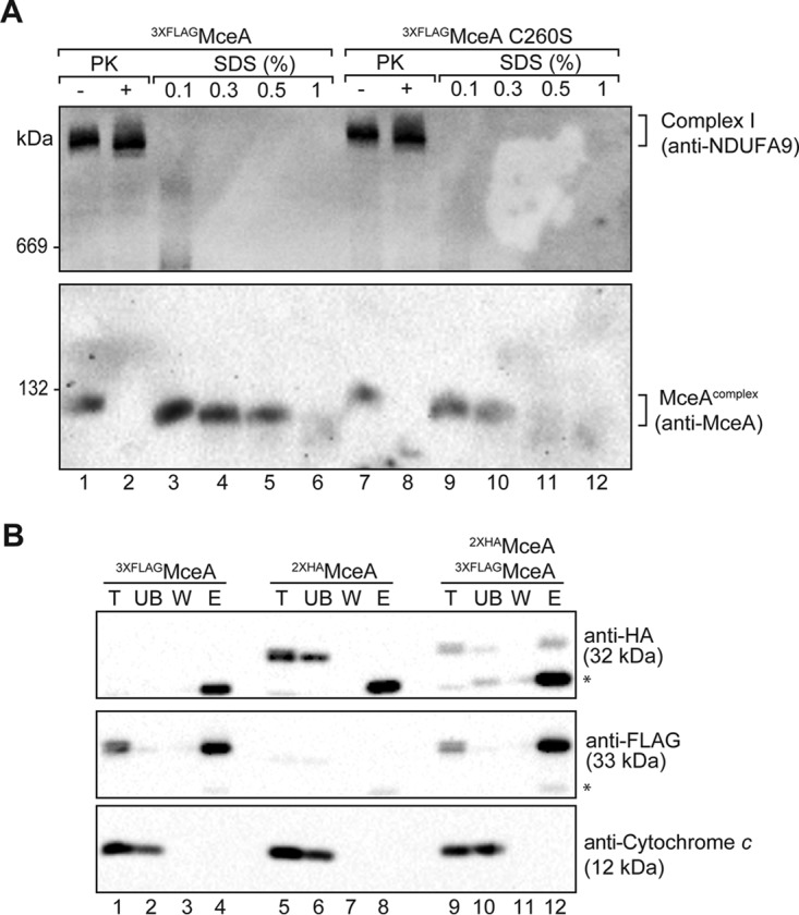 FIG 6