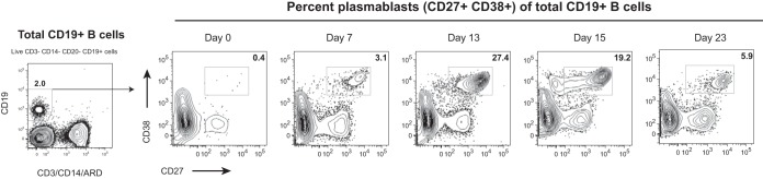 FIG 1