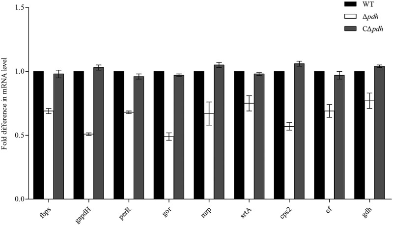 Figure 6.