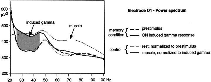 Fig. 8.