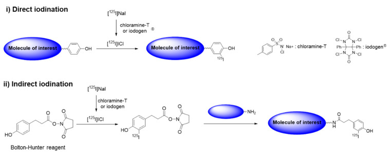 Scheme 2