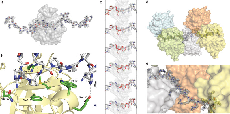 Fig. 3