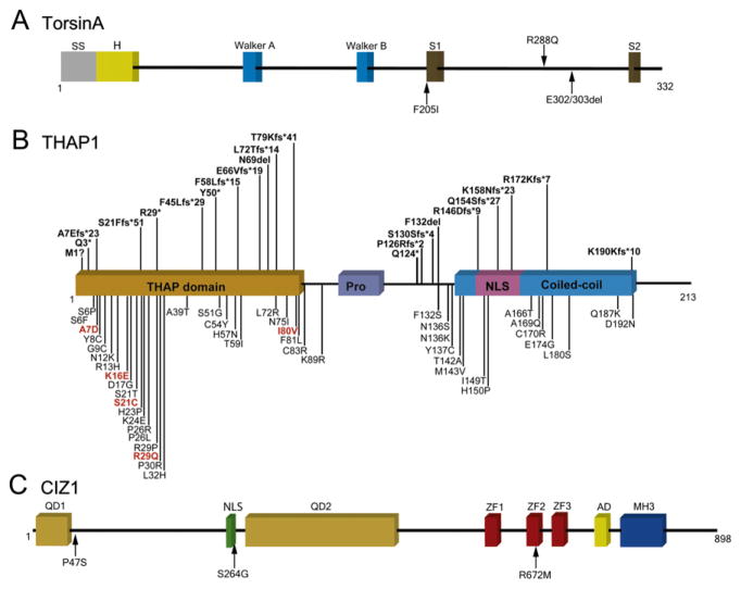 Figure 2.1