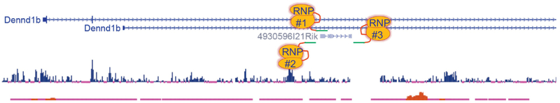 Figure 5.