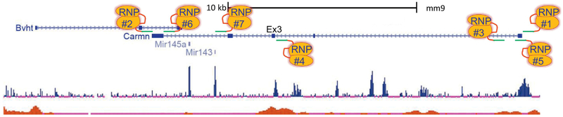 Figure 4.