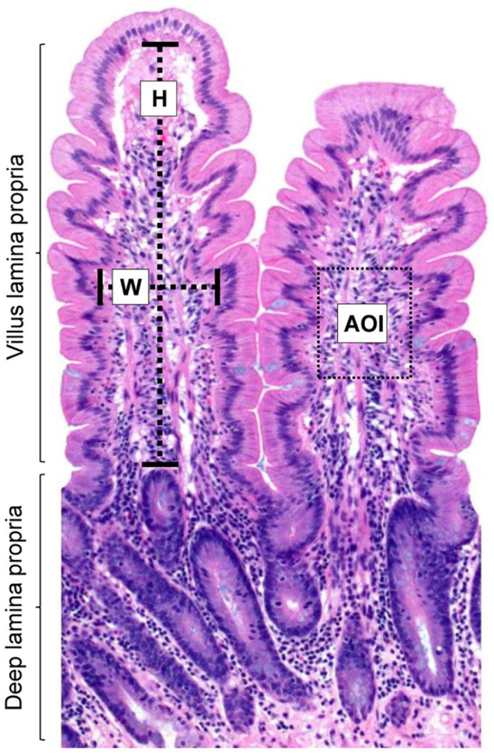 Figure 1.