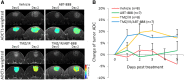 Figure 5