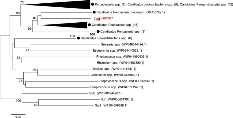 FIG 6