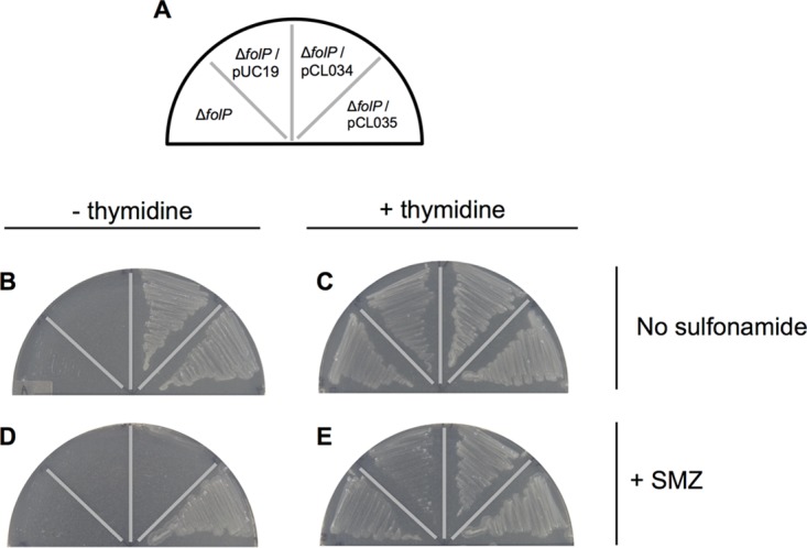 FIG 4