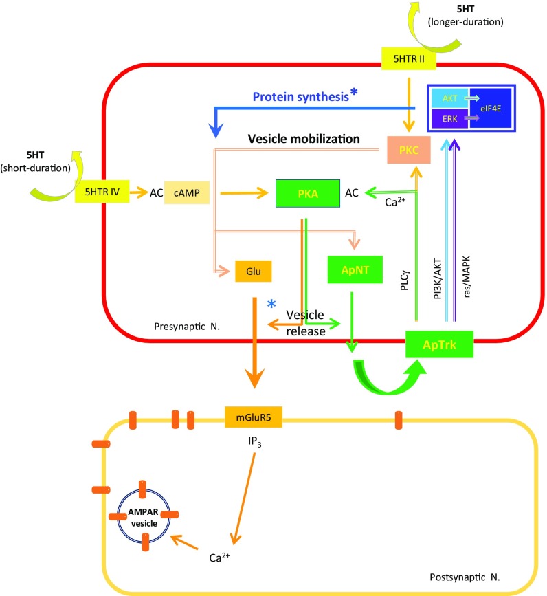 Fig. 7.