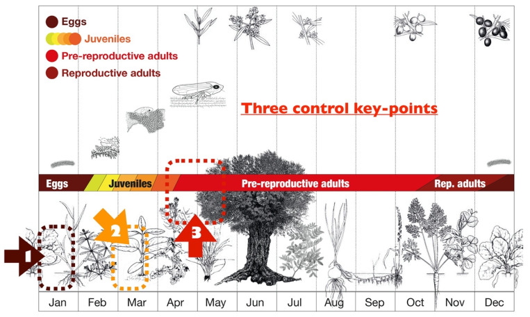 Figure 13