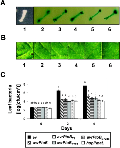 FIG. 4.