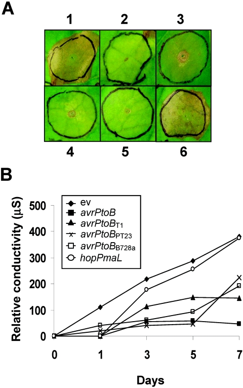 FIG. 7.