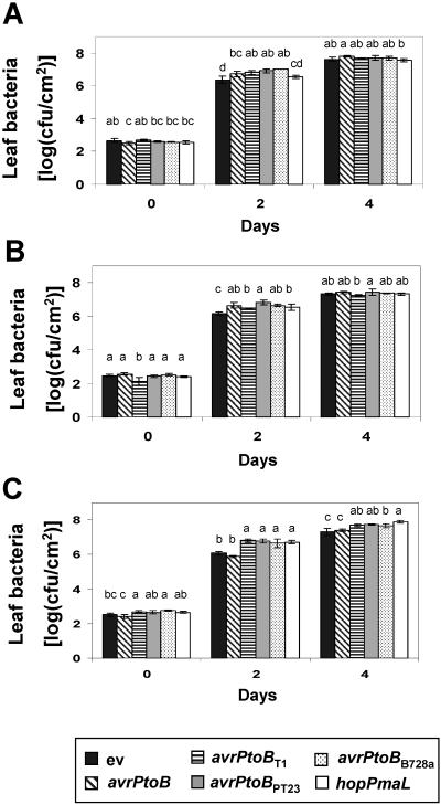 FIG. 6.